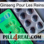 Ginseng For Kidney new04